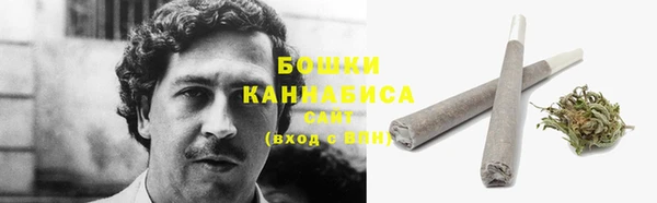 гашик Аркадак