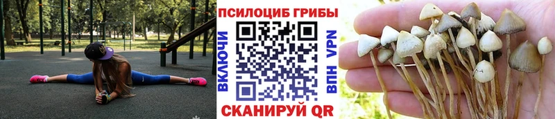 мега ссылки  Строитель  Псилоцибиновые грибы GOLDEN TEACHER 
